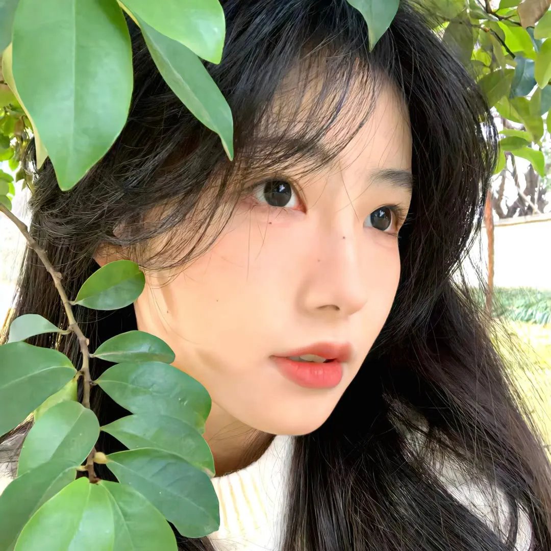香岛美人窝
